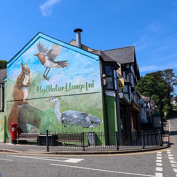 a mural on the wall for nature